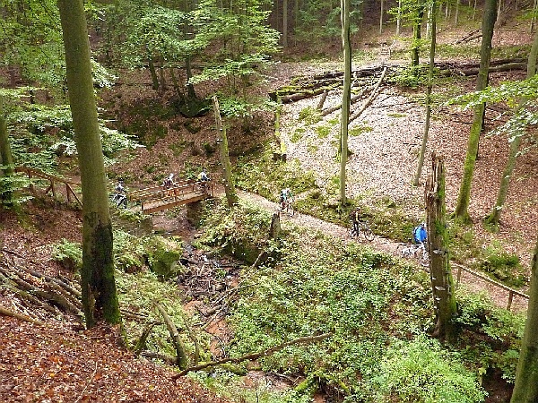 BoJW_2010_600_10
