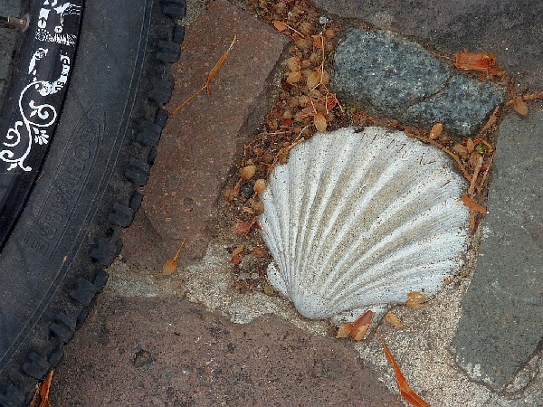 BoJW_2010_600_13a