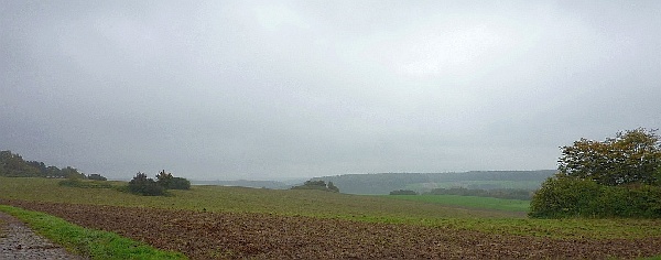 BoJW_2010_600_26