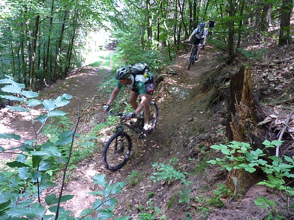 Leininger Land 600_8 Leininger Land 600_8