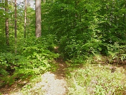 Vorher_250