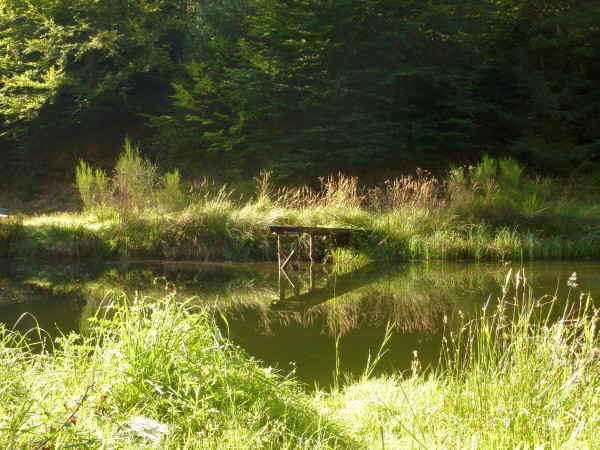 Ab_in_den_Süden_600_21 Ab_in_den_Süden_600_21