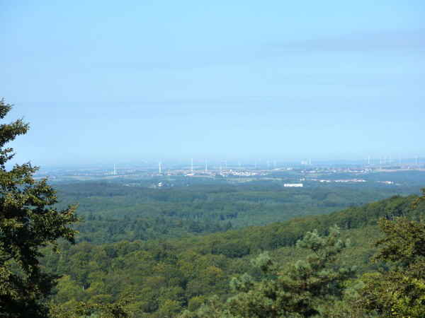 Ab_in_den_Süden_600_26 Ab_in_den_Süden_600_26