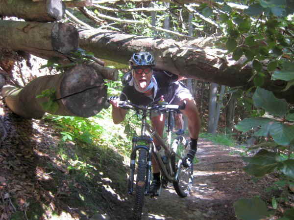 Ab_in_den_Süden_600_6 Ab_in_den_Süden_600_6