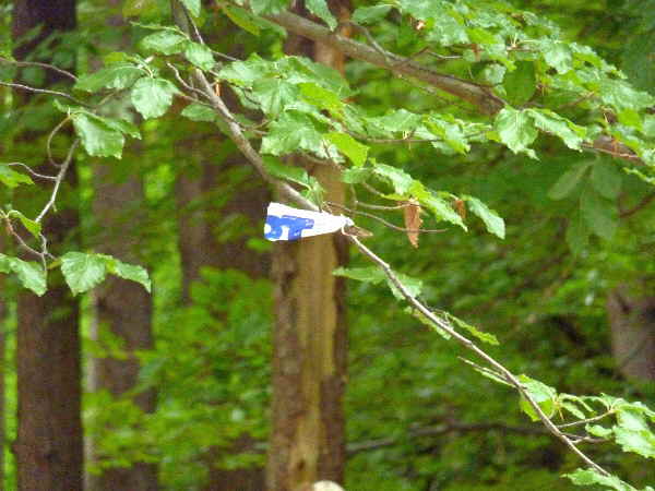 Marathon-Tour 600-2 Marathon-Tour 600-2