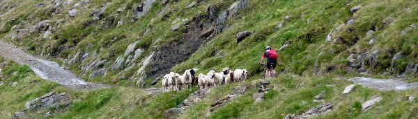 Ötztal_600 29 Ötztal_600 29